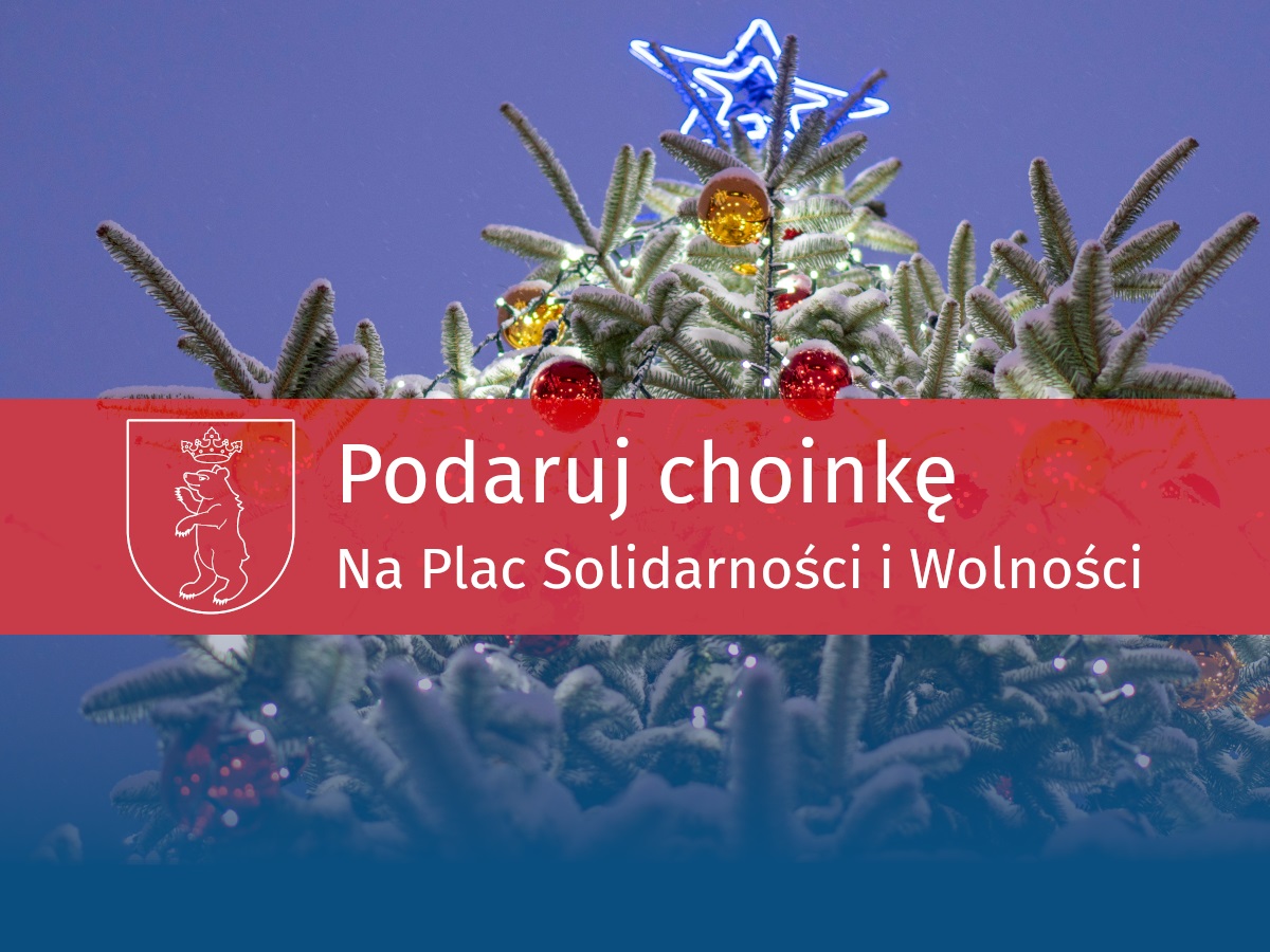 Podaruj Choinkę na Plac Solidarności i Wolności