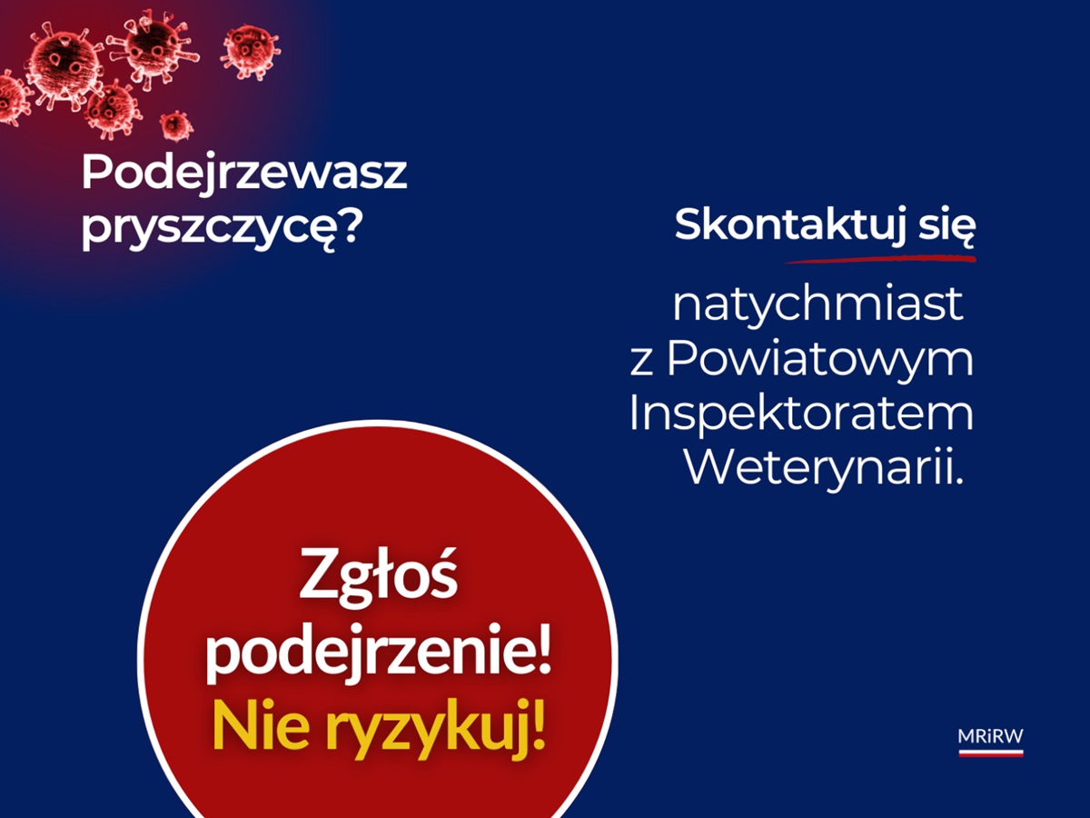 Pryszczyca - materiały informacyjne